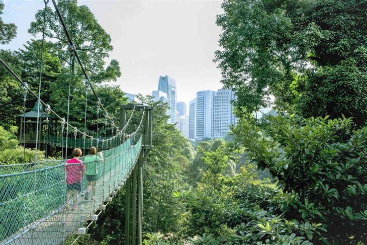 Sube a lo alto de la Torre de Kuala Lumpur en la Reserva Forestal Bukit Nanas