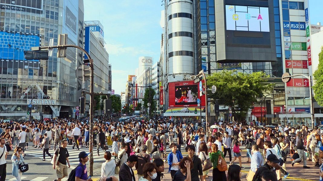 Donde Alojarse En Tokio Las Mejores Zonas El Viajista