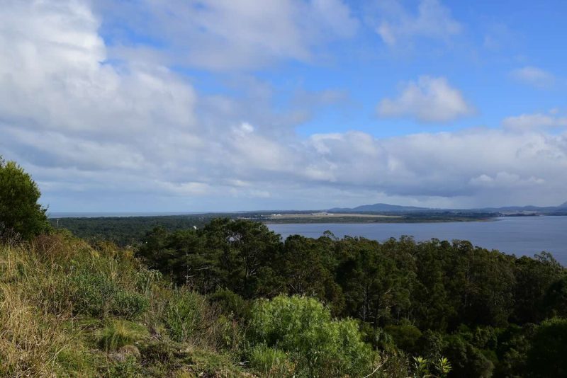 Laguna del Sauce, área natural