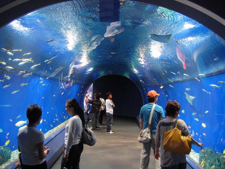 Los 25 mejores planes que hacer en Osaka - El Viajista