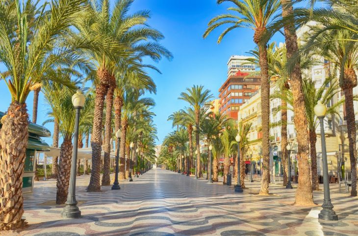 Dónde alojarse en Alicante
