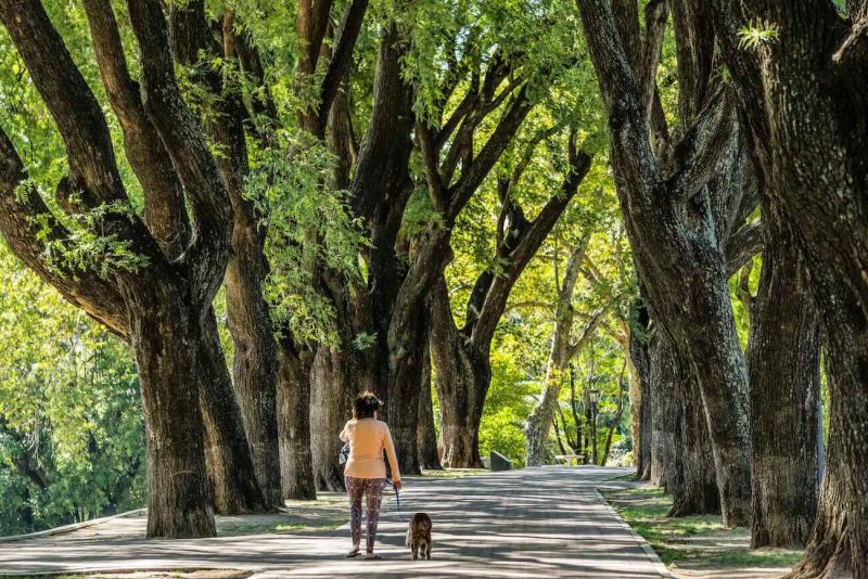 Pasear por el Parque Lezama en Buenos Aires, Argentina