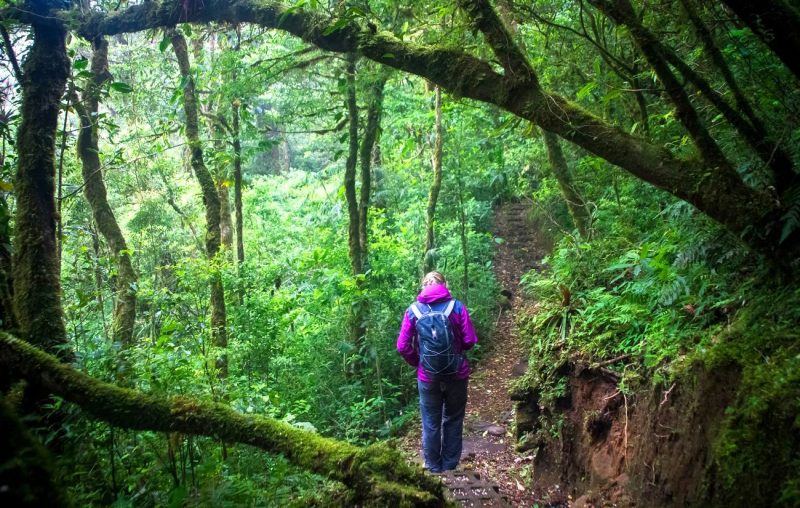 Las mejores zonas de Costa Rica: Monteverde