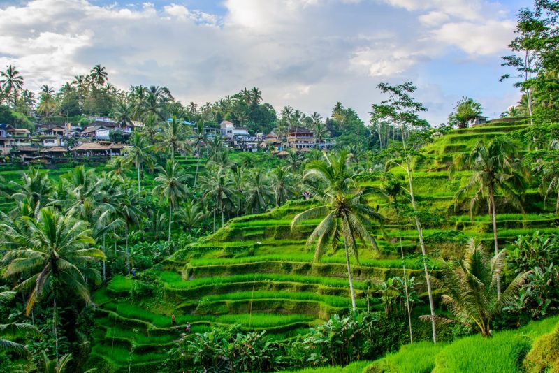 Ubud, Bali