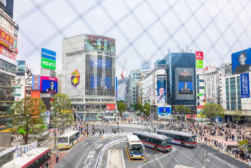 Cómo ir del aeropuerto Narita al centro de Tokio