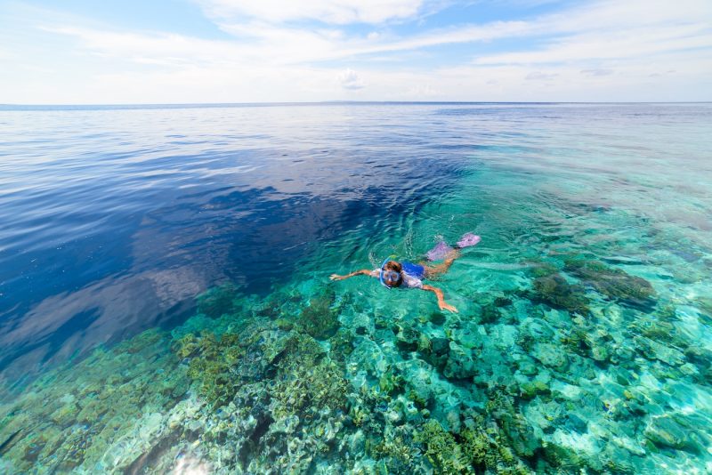 Parque de Wakatobi, paraíso de buceo con la mayor diversidad mundial de coral