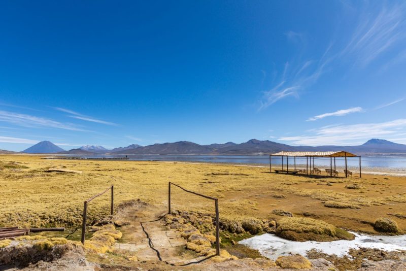 Visitar las maravillas naturales de la Reserva Nacional de Salinas y Aguada Blanca 