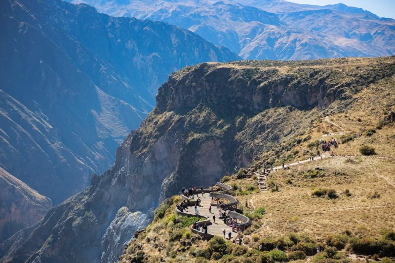 El majestuoso vuelo del cóndor en el Cañón del Colca