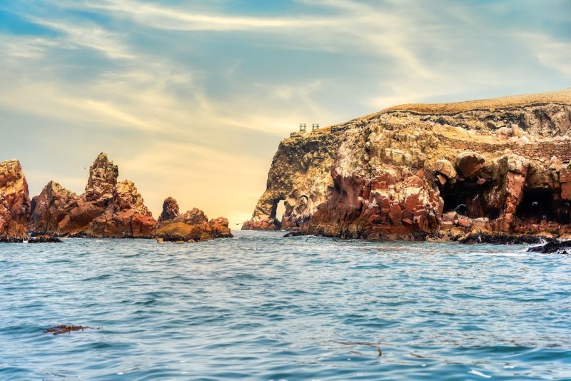 La biodiversidad de las Islas Ballestas, las “Galápagos peruanas”