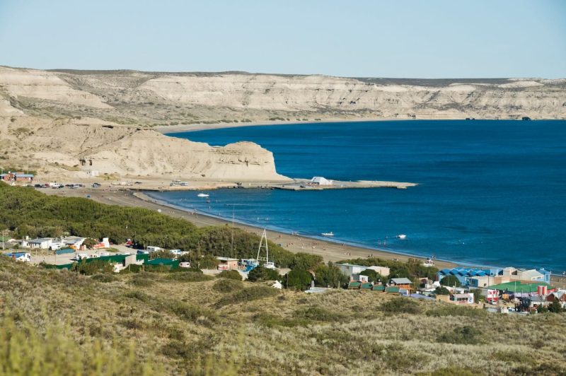 Navegar junto a ballenas en Península Valdés 