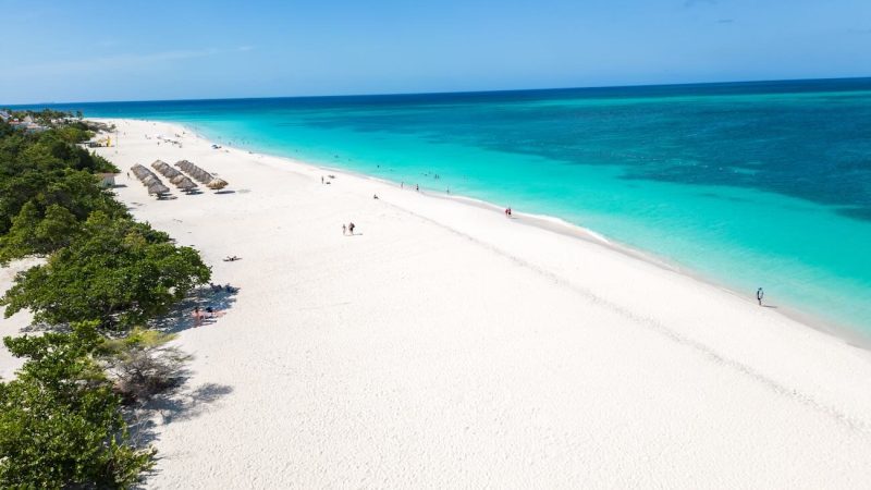 Eagle Beach, dónde alojarse en Aruba para familias y parejas
