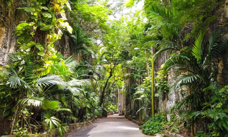 Sube por la escalera de la reina en Nassau, Las Bahamas