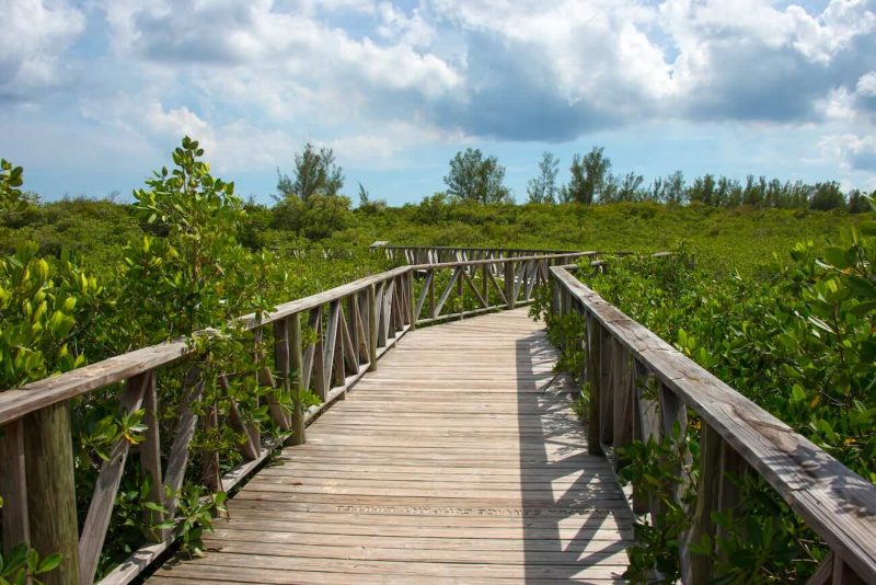 Explora Lucayan National Park – Grand Bahama Island