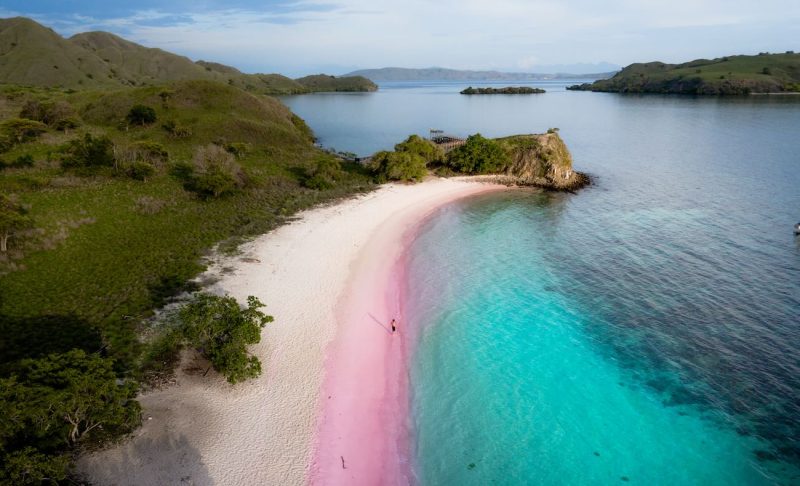 Déjate sorprender por las playas rosas  de Harbour Island